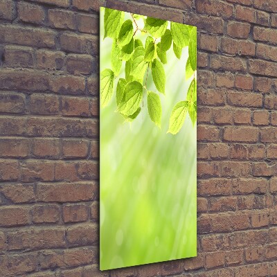 Cuadro de vidrio templado 4mm para pared vertical hojas verdes