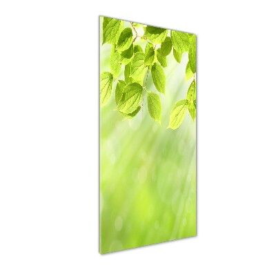 Cuadro de vidrio templado 4mm para pared vertical hojas verdes
