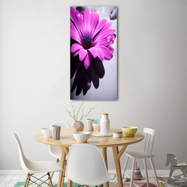 Cuadro de cristal moderno efecto brillo vertical Gerbera rosa