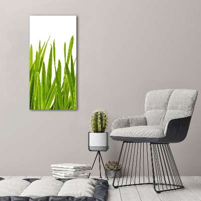 Cuadro decorativo en cristal con canto pulido vertical Hierba verde