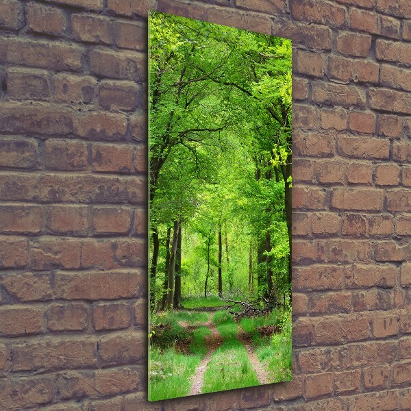 Fotocuadro de cristal elegante para hogar vertical Bosque verde