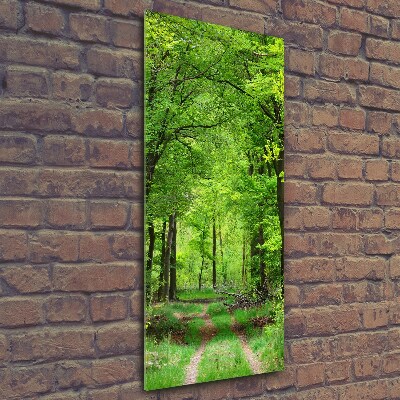 Fotocuadro de cristal elegante para hogar vertical Bosque verde
