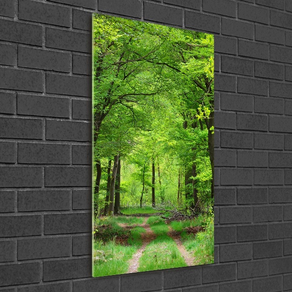 Fotocuadro de cristal elegante para hogar vertical Bosque verde