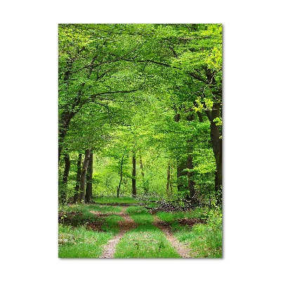 Fotocuadro de cristal elegante para hogar vertical Bosque verde
