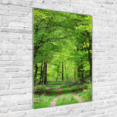 Fotocuadro de cristal elegante para hogar vertical Bosque verde