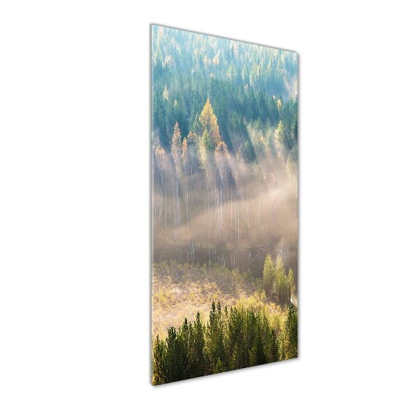 Cuadro de vidrio templado 4mm para pared vertical Niebla sobre el bosque