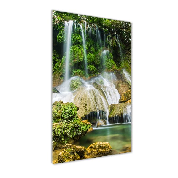 Fotocuadro de cristal elegante para hogar vertical Cascada en la selva