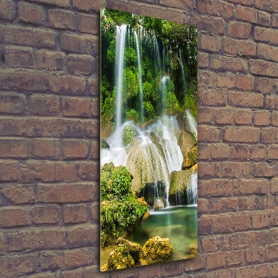 Fotocuadro de cristal elegante para hogar vertical Cascada en la selva