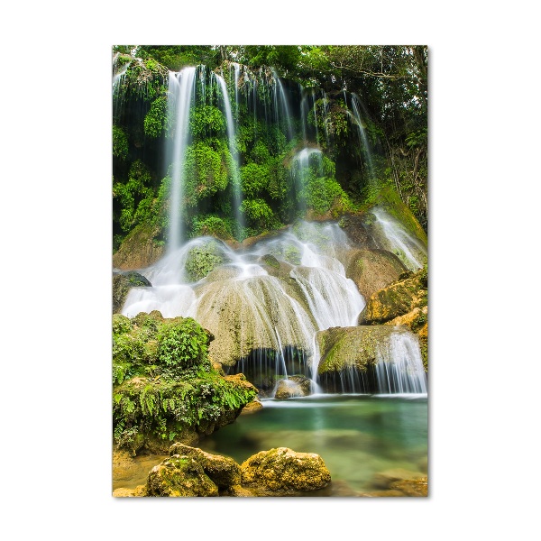 Fotocuadro de cristal elegante para hogar vertical Cascada en la selva