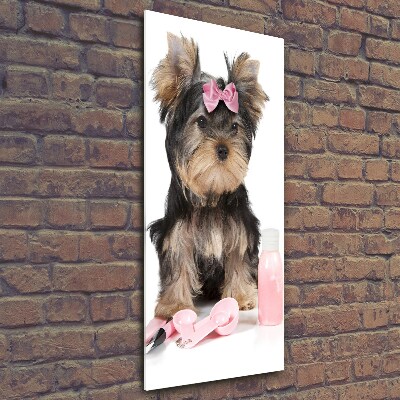 Cuadro de cristal moderno efecto brillo vertical Cosméticos de Yorkshire