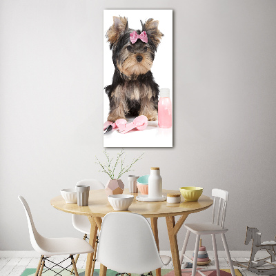 Cuadro de cristal moderno efecto brillo vertical Cosméticos de Yorkshire