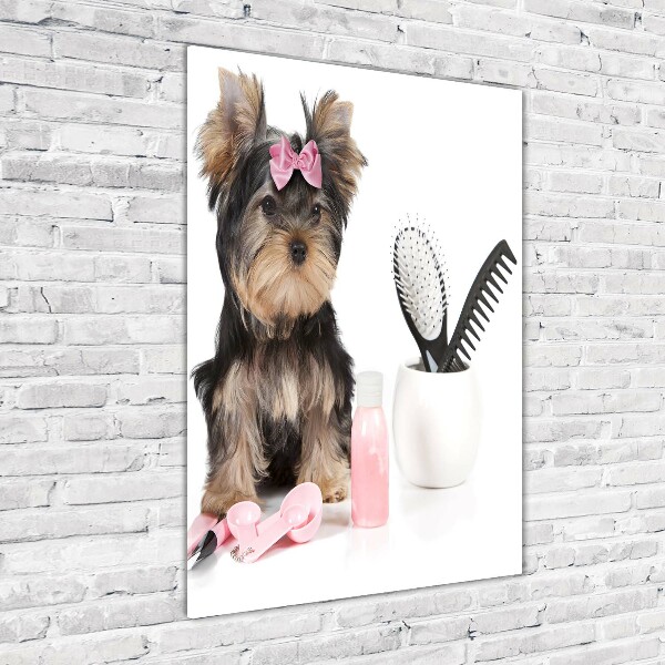 Cuadro de cristal moderno efecto brillo vertical Cosméticos de Yorkshire