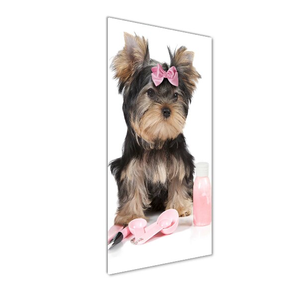 Cuadro de cristal moderno efecto brillo vertical Cosméticos de Yorkshire