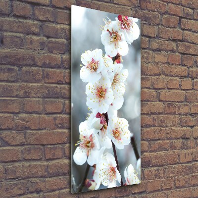 Cuadro de vidrio templado 4mm para pared vertical flores de cerezo