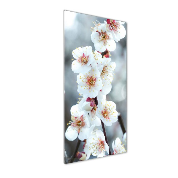 Cuadro de vidrio templado 4mm para pared vertical flores de cerezo