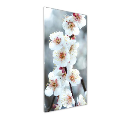 Cuadro de vidrio templado 4mm para pared vertical flores de cerezo