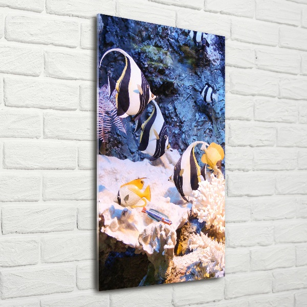 Cuadro de cristal moderno efecto brillo vertical Arrecife de coral