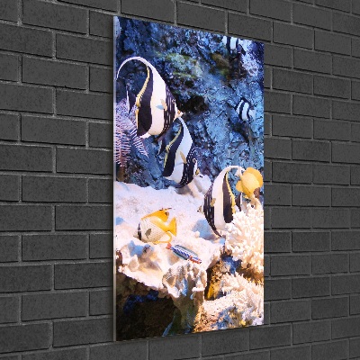 Cuadro de cristal moderno efecto brillo vertical Arrecife de coral