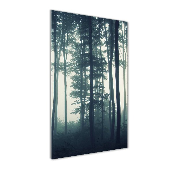 Cuadro decorativo en cristal con canto pulido vertical Niebla en el bosque