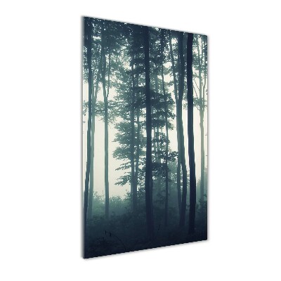 Cuadro decorativo en cristal con canto pulido vertical Niebla en el bosque