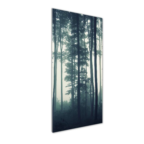 Cuadro decorativo en cristal con canto pulido vertical Niebla en el bosque