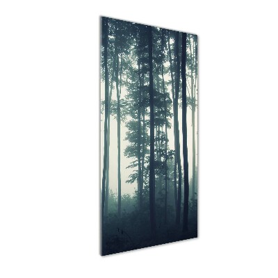 Cuadro decorativo en cristal con canto pulido vertical Niebla en el bosque