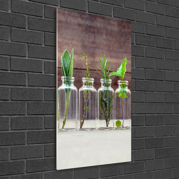 Cuadro decorativo en cristal con canto pulido vertical Hierbas en frascos