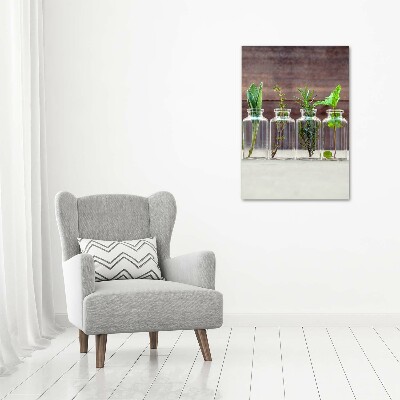 Cuadro decorativo en cristal con canto pulido vertical Hierbas en frascos