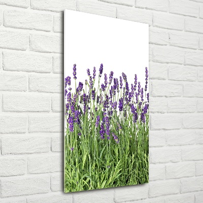 Cuadro decorativo en cristal con canto pulido vertical campo de lavanda