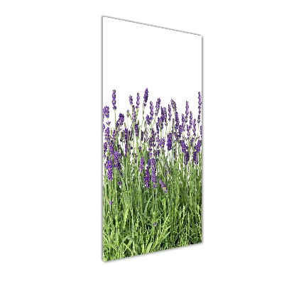 Cuadro decorativo en cristal con canto pulido vertical campo de lavanda
