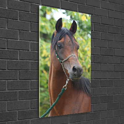 Fotocuadro de cristal elegante para hogar vertical Retrato de un caballo