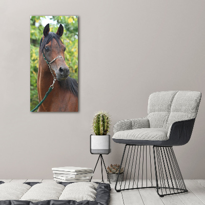 Fotocuadro de cristal elegante para hogar vertical Retrato de un caballo