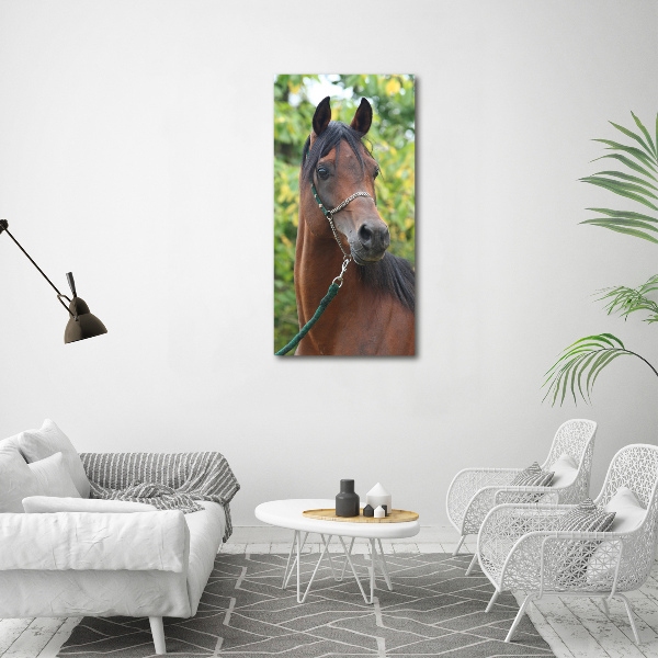 Fotocuadro de cristal elegante para hogar vertical Retrato de un caballo
