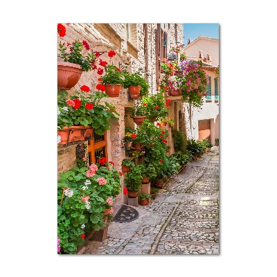 Cuadro de cristal moderno efecto brillo vertical calles italianas