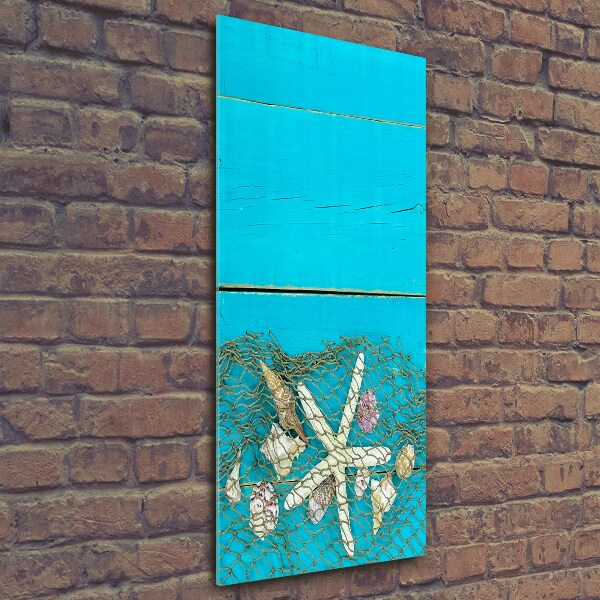 Cuadro decorativo en cristal con canto pulido vertical Conchas y estrellas de mar