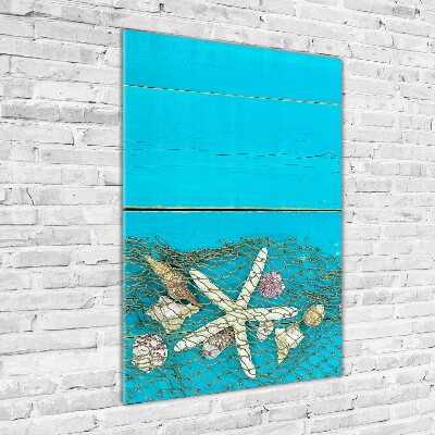 Cuadro decorativo en cristal con canto pulido vertical Conchas y estrellas de mar