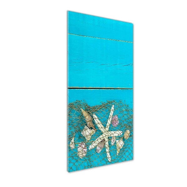 Cuadro decorativo en cristal con canto pulido vertical Conchas y estrellas de mar