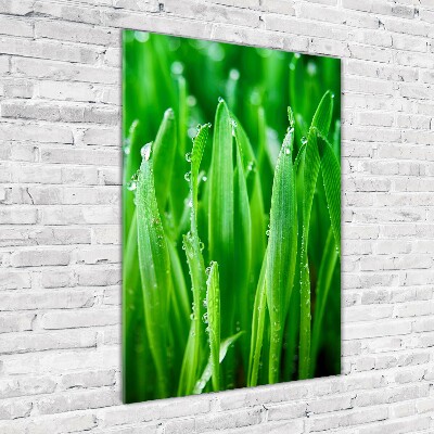 Cuadro de vidrio templado 4mm para pared vertical Briznas de hierba