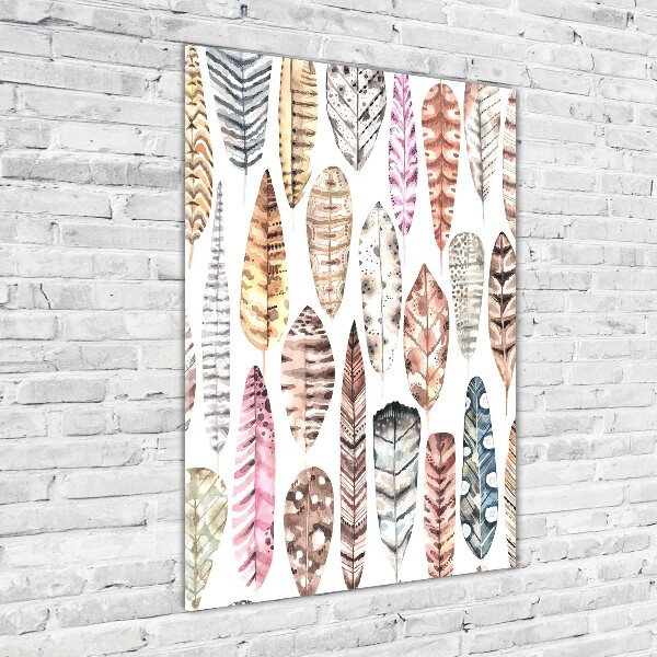 Cuadro de vidrio templado 4mm para pared vertical Plumas de colores