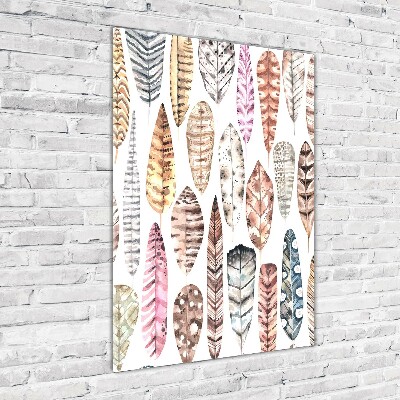 Cuadro de vidrio templado 4mm para pared vertical Plumas de colores