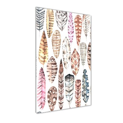 Cuadro de vidrio templado 4mm para pared vertical Plumas de colores