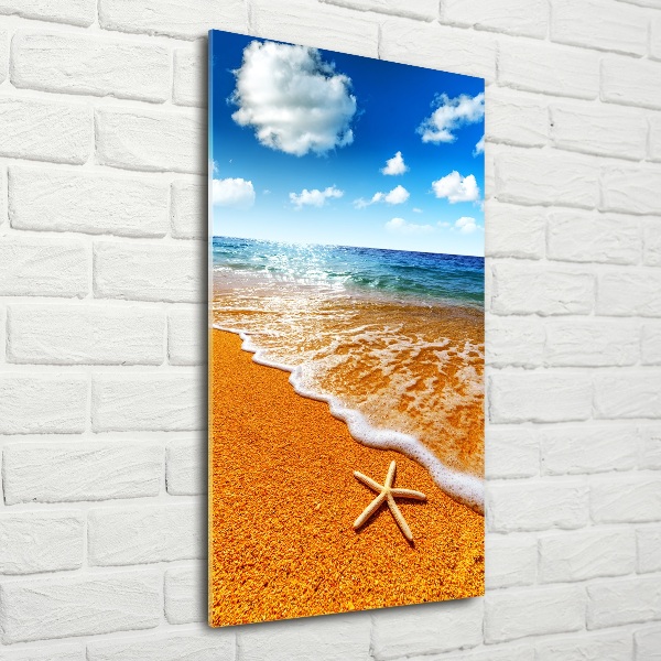 Cuadro de vidrio templado 4mm para pared vertical Estrellas de mar en la playa