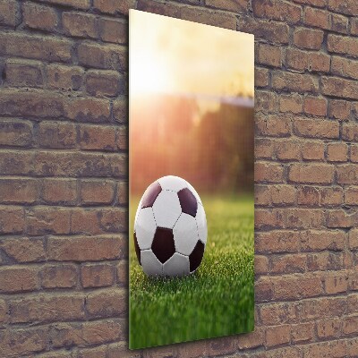 Cuadro de cristal moderno efecto brillo vertical Fútbol americano