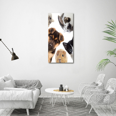 Fotocuadro de cristal elegante para hogar vertical Mascotas