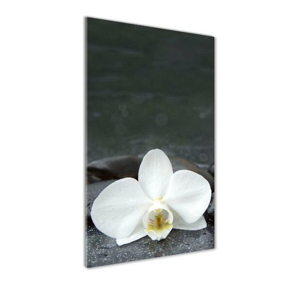 Fotocuadro de cristal elegante para hogar vertical Piedras de orquídea