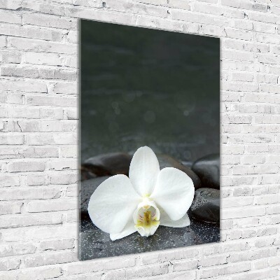 Fotocuadro de cristal elegante para hogar vertical Piedras de orquídea
