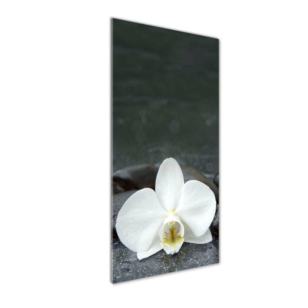 Fotocuadro de cristal elegante para hogar vertical Piedras de orquídea