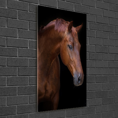 Fotocuadro de cristal elegante para hogar vertical Retrato de un caballo