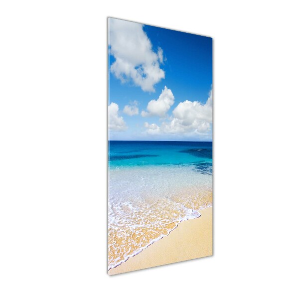 Cuadro de vidrio templado 4mm para pared vertical Playa tropical