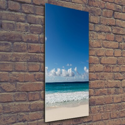 Cuadro de vidrio templado 4mm para pared vertical Playa tropical
